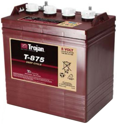 T875 Golf Cart Battery